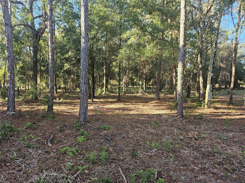 Photo of 4462 N Well View Point, Crystal River, FL 34428 (MLS # OM720336)