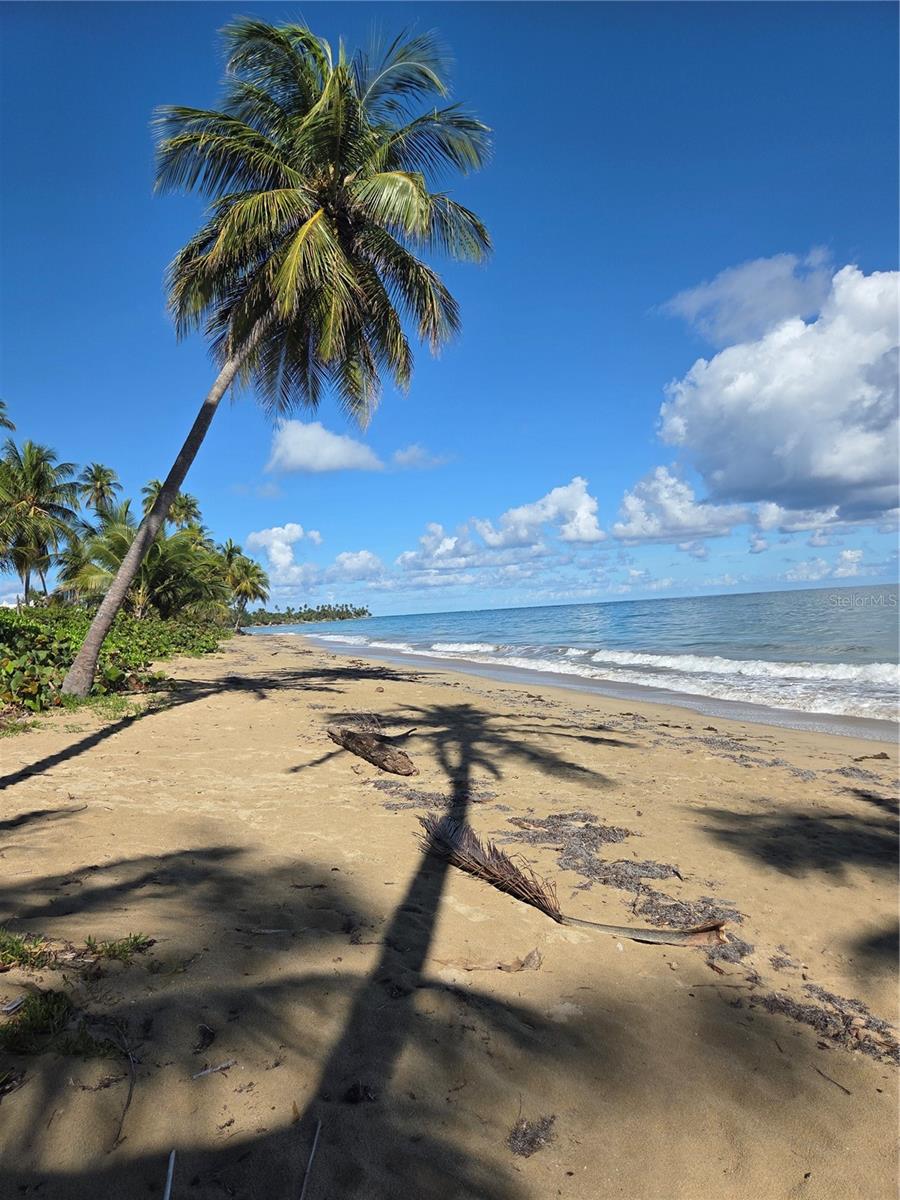 COND GRAND BAY BEACH - Residential