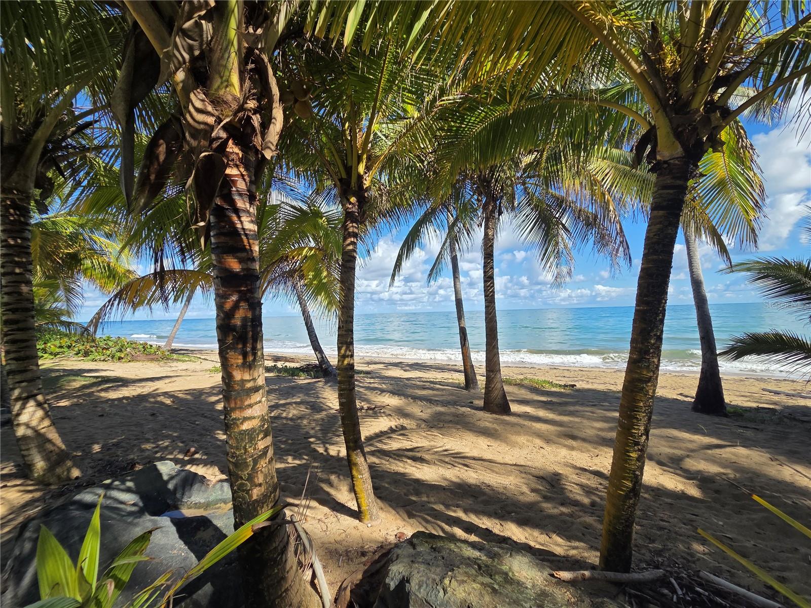 COND GRAND BAY BEACH - Residential