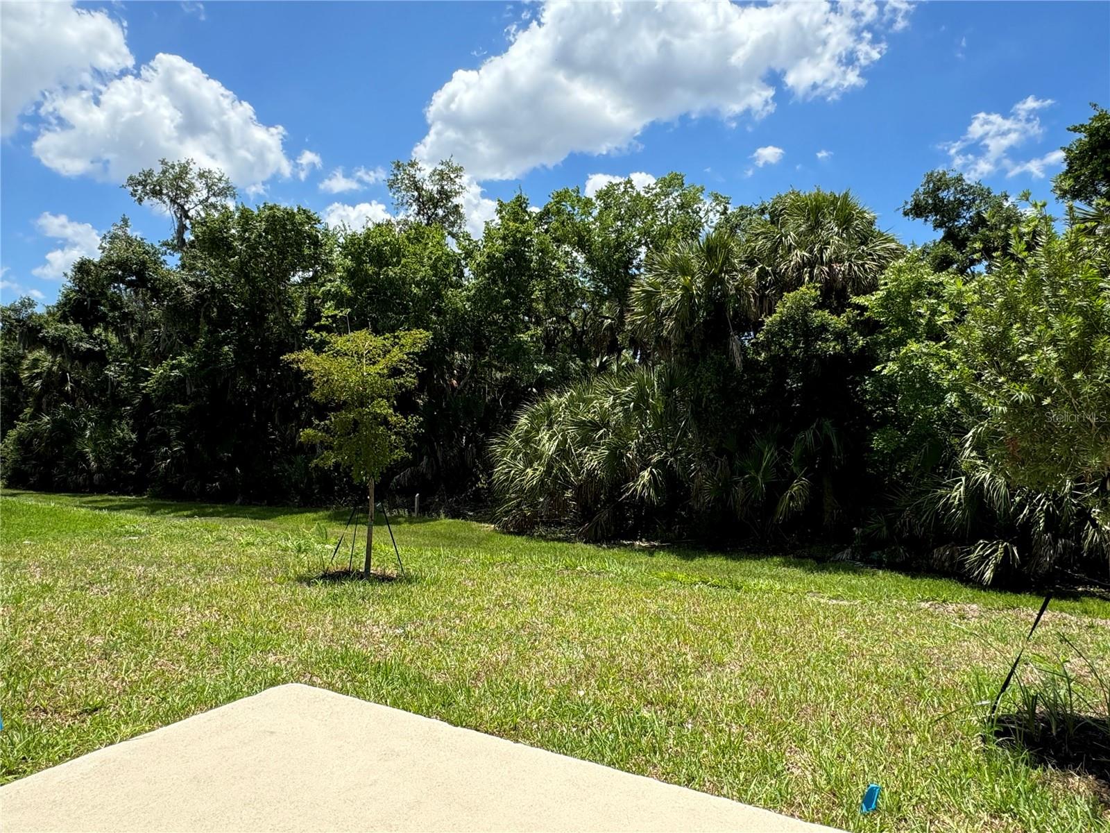 SKYE RANCH - Residential Lease