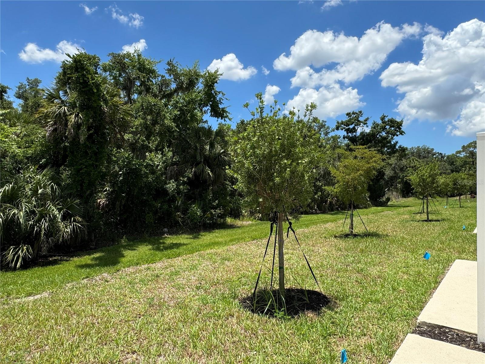 SKYE RANCH - Residential Lease