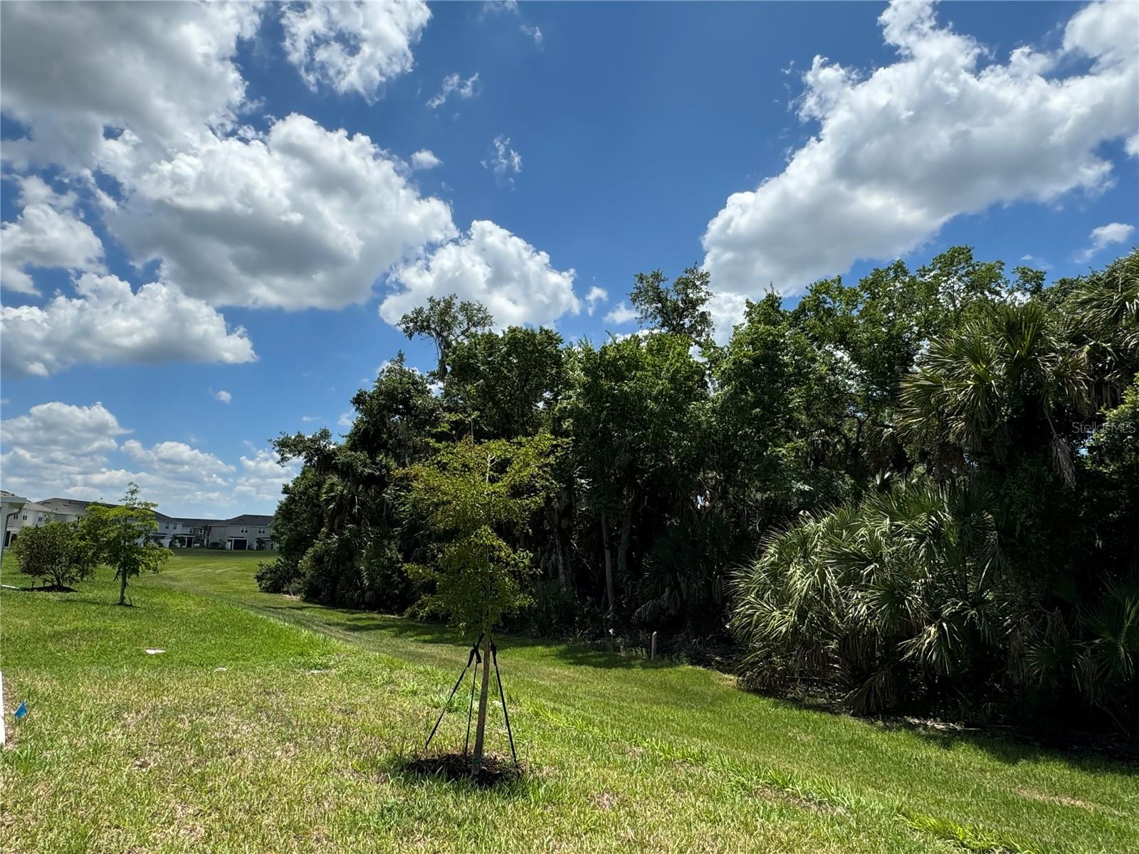 SKYE RANCH - Residential Lease