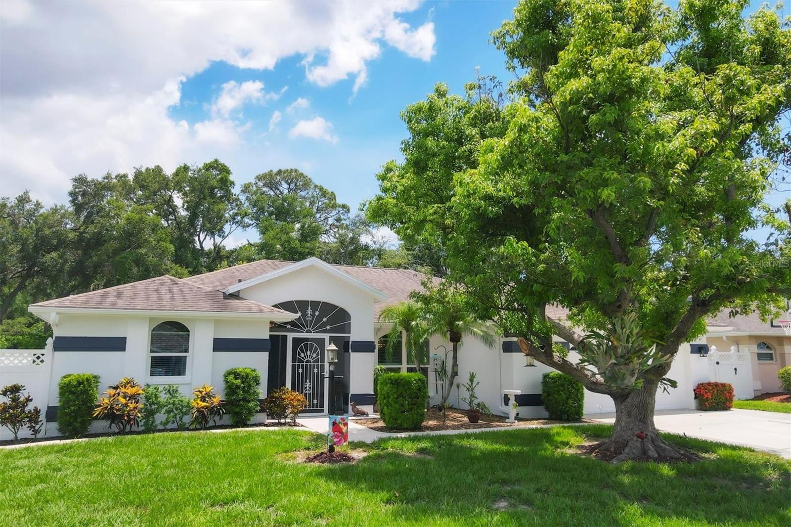 2381 APPALOOSA CIRCLE