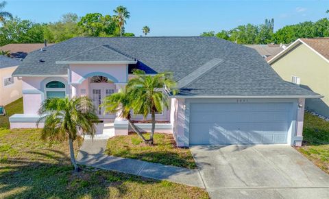 3051 JODI LANE PALM HARBOR FL 34684