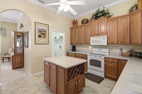 Tiny photo for 1239 W Beagle Run Loop, Hernando, FL 34442 (MLS # TB8502369)