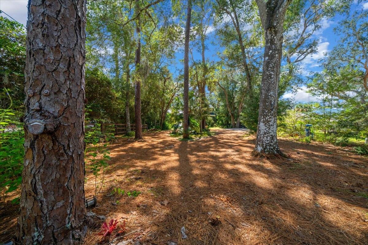 WOODS & LAKES - Residential