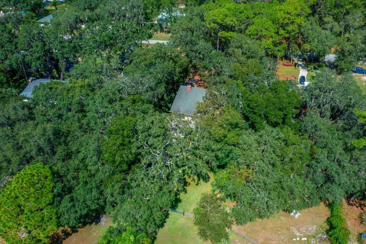 WOODS & LAKES - Residential