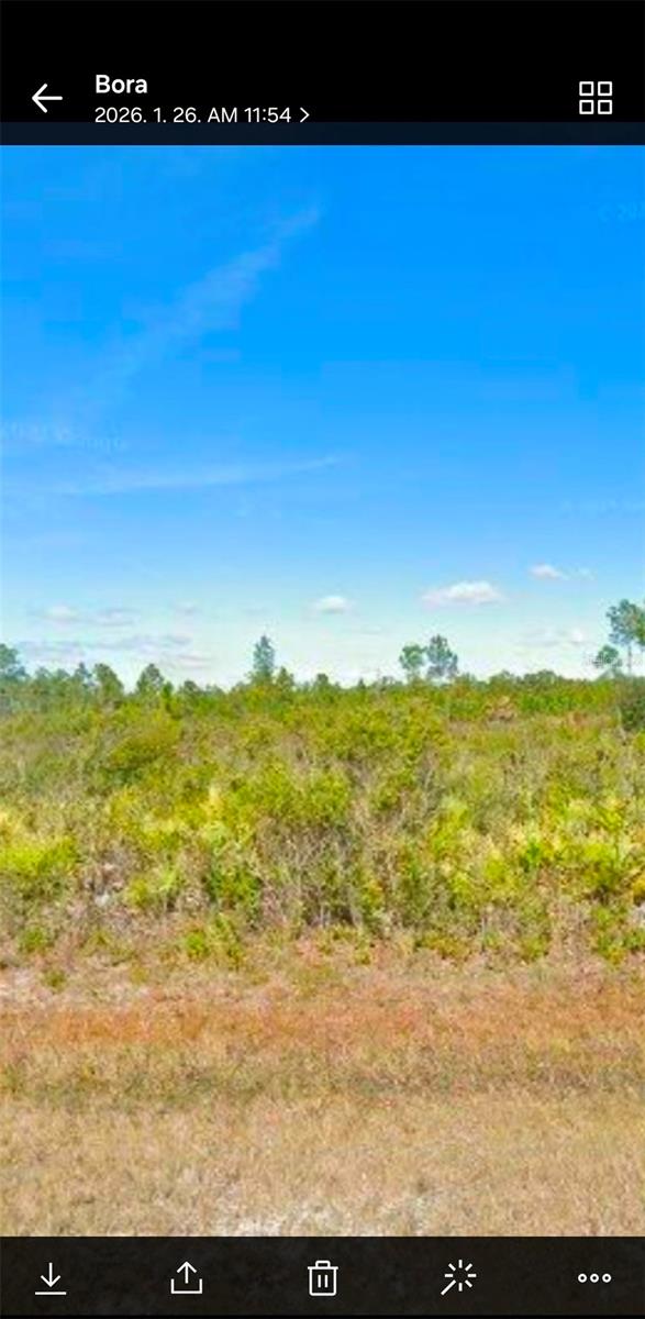 INDIAN LAKE ESTATES - Land