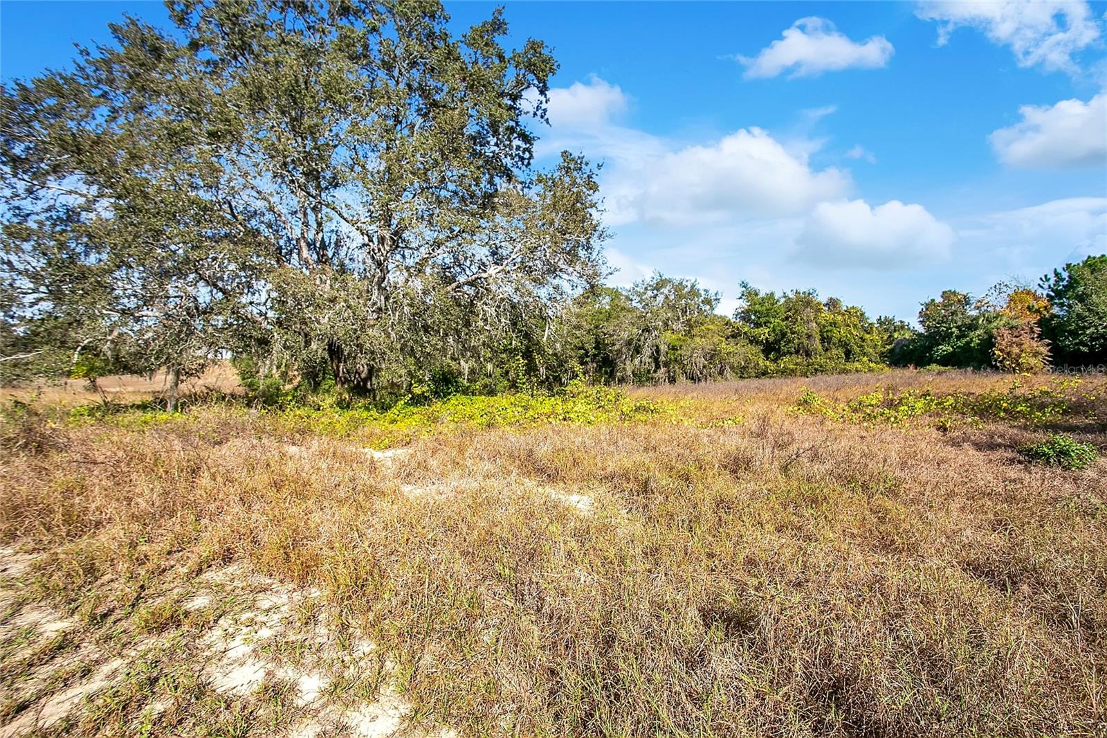 LAKE AVALON GROVES REP - Land