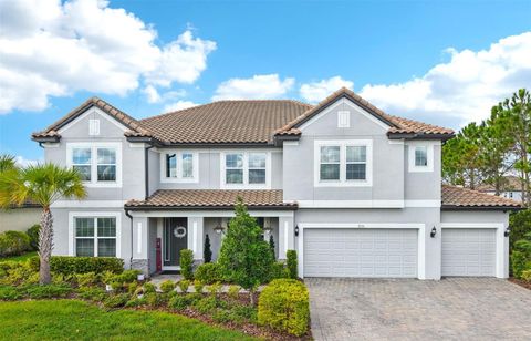 7135 GRAYBROOK DRIVE WESLEY CHAPEL FL 33545