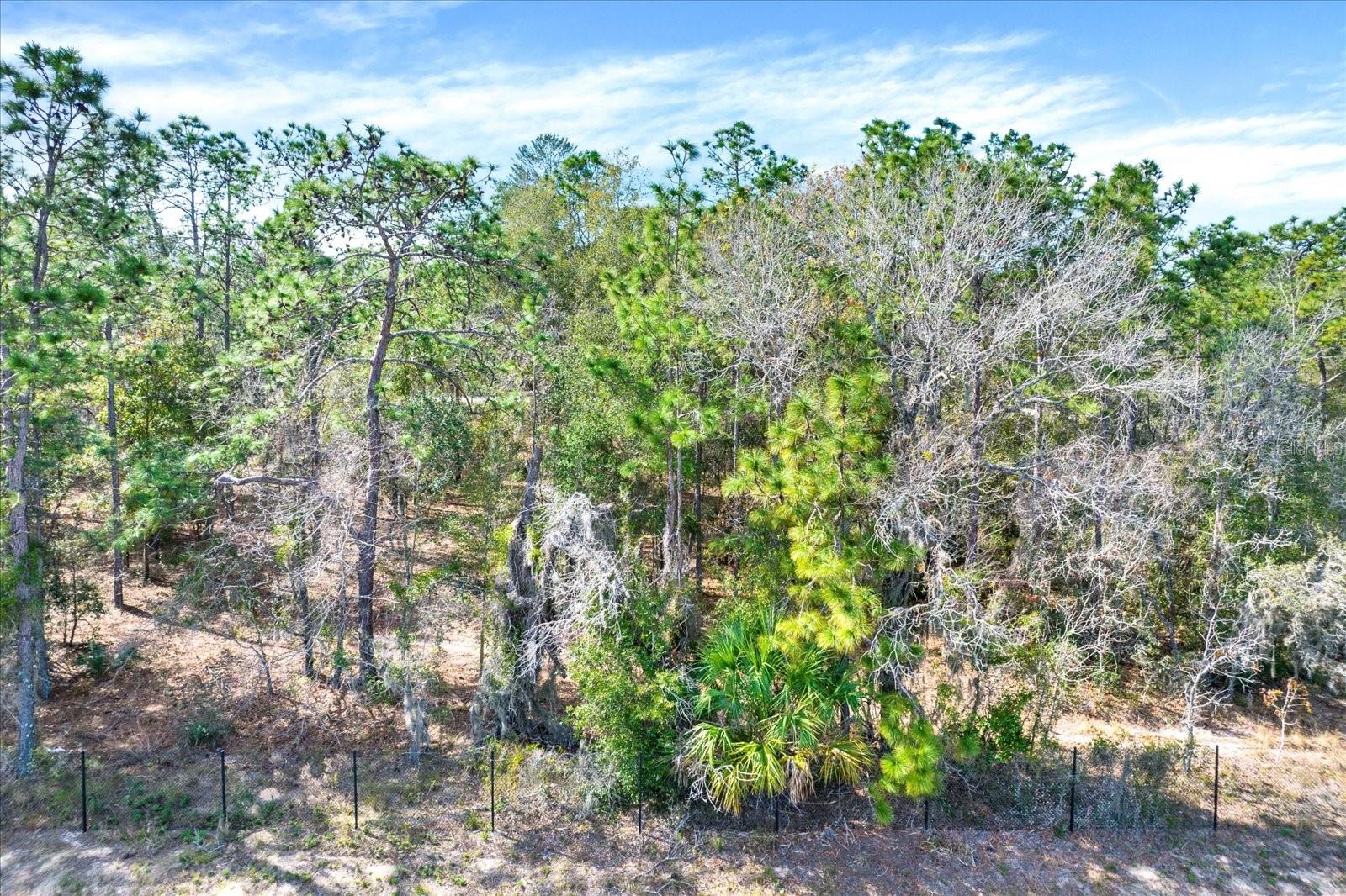Residential vacant lot with approximately half acre. Survey available for your review. Close to FL 589(Suncoast PKWY Toll road) which leads to
Tampa. Amazing opportunity to built your own dream home in the growing community of Weeki Wachee.