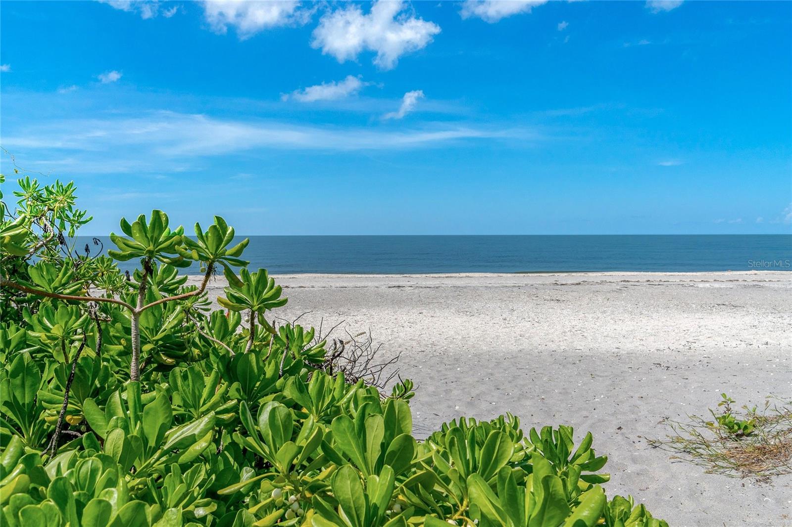 PALM POINT - Land