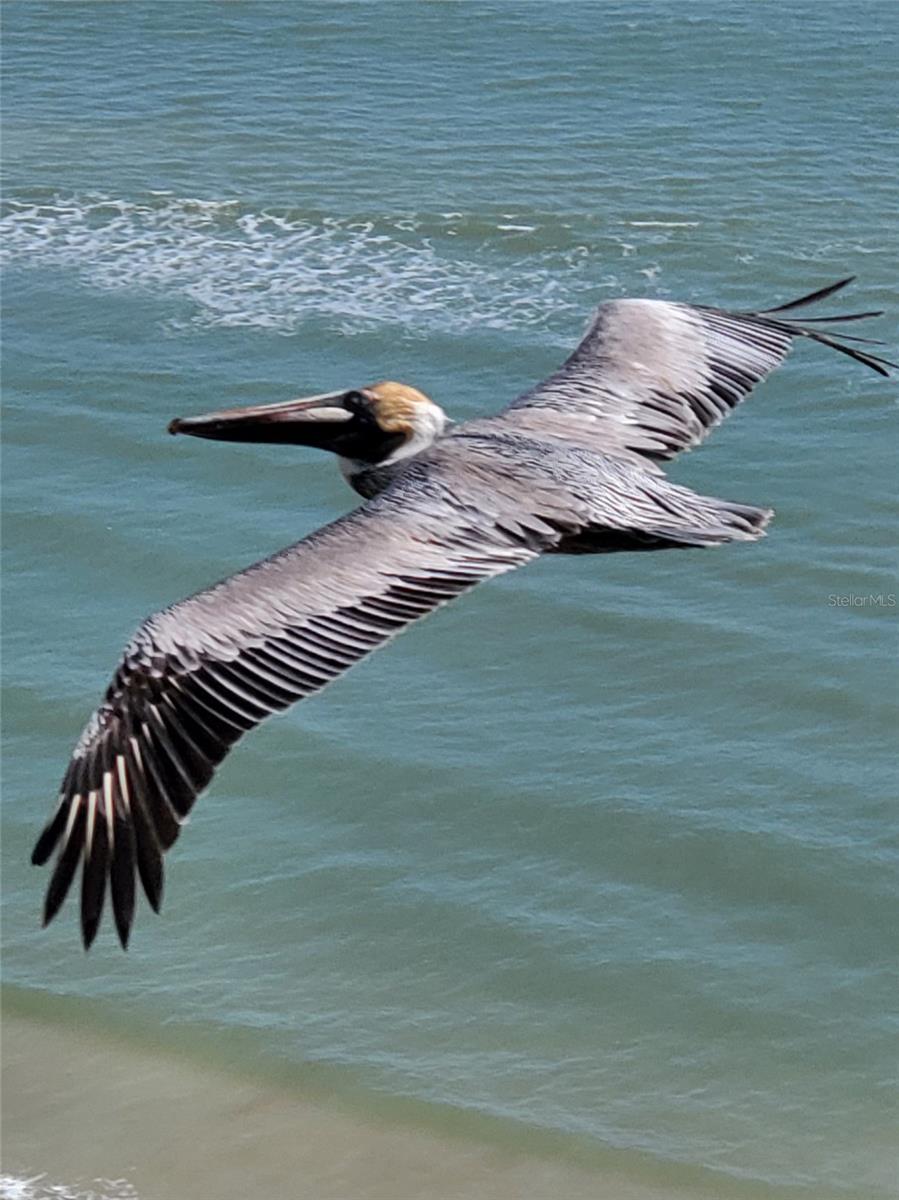 OCEAN RITZ CONDO UNIT 01 - Residential