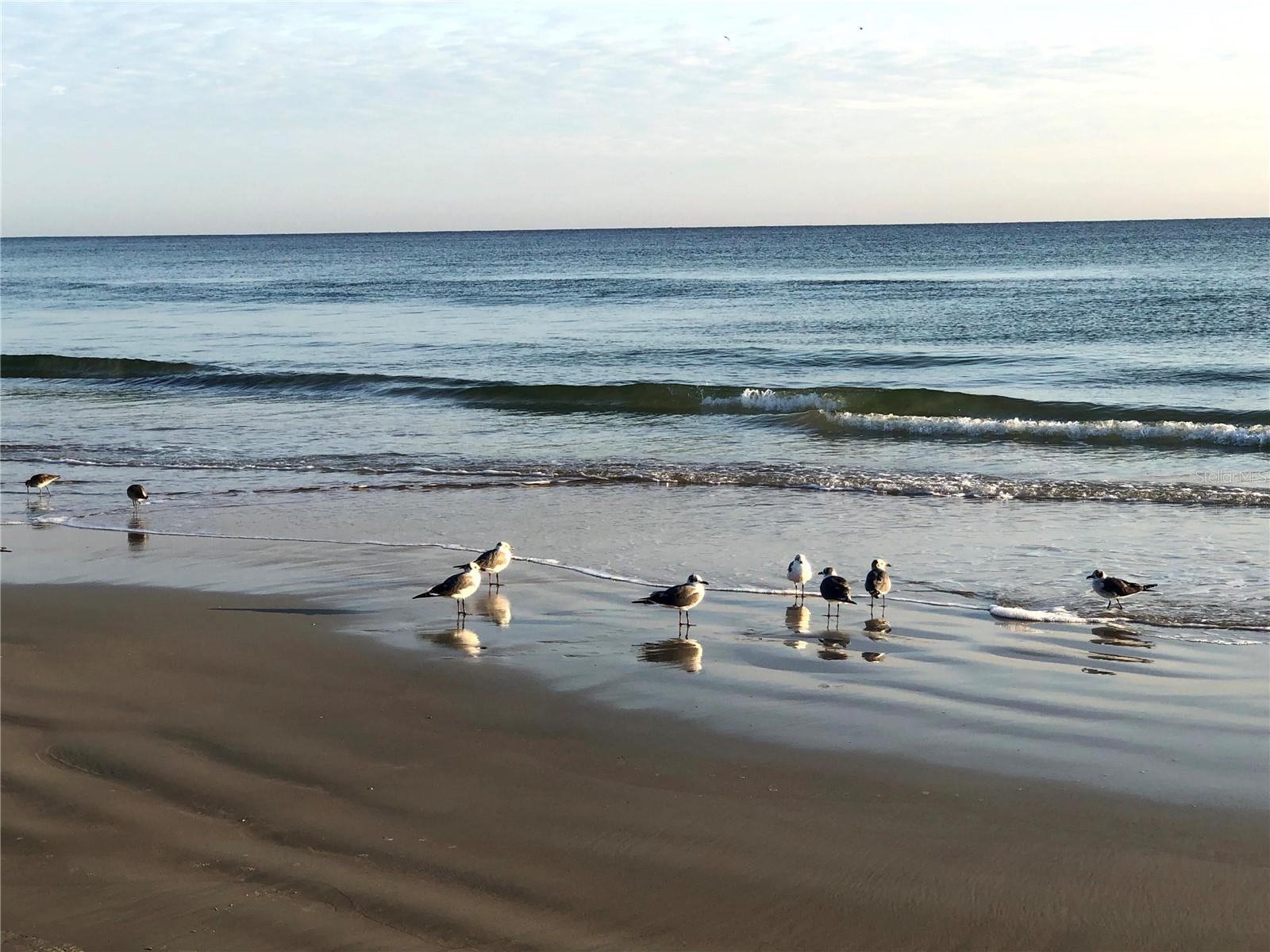 OCEAN RITZ CONDO UNIT 01 - Residential