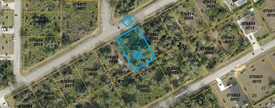 GREAT LOCATION!!!Discover the perfect opportunity to own a piece of North Port, FL, in the heart of a rapidly expanding area. Great vacant lot just few minutes away from famous Warm Mineral Spring Lake, a local gem and Just 15-18 minutes from the Wallen Park downtown area and the highly anticipated new Costco store. Great opportunity to buy and build in the heart of fast growing area of North Port, FL. This property is perfectly situated near shopping centers, a variety of dining options, beautiful parks, stunning beaches, and world-class golf courses. Easy access to U.S 41 and Interstate 75 for smooth commuting and travel. Enjoy the freedom of no HOA, Deed Restrictions, or CDD fees, making it an ideal canvas for your dreams. Don't let this incredible property pass you by. Seize the moment to invest in this exceptional opportunity. Your dream home or investment project awaits!