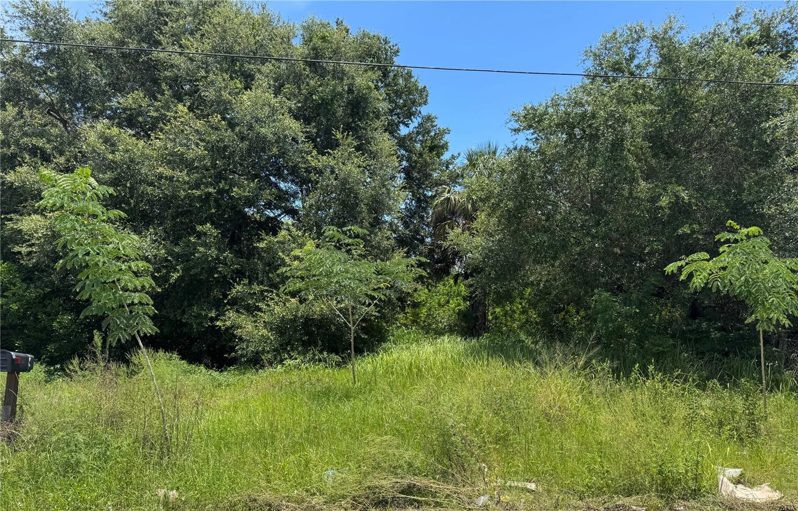 Discover the potential of this vacant lot in Lake Wales! Whether you're looking to build your home or invest in future development, this property offers a great opportunity. Enjoy the peaceful surroundings with convenient access to local schools, shopping, and major highways. Don’t miss your chance to own a piece of land in one of Central Florida’s growing communities!