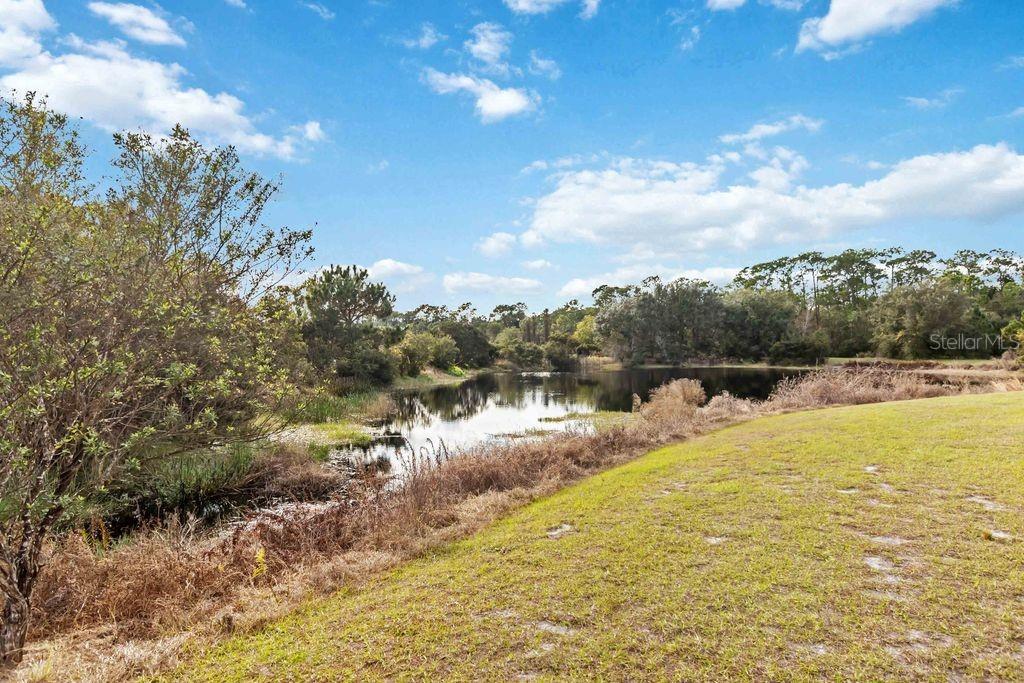 ENCLAVE AT LAKES OF HARMONY - Residential