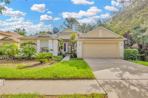 A home in TAMPA