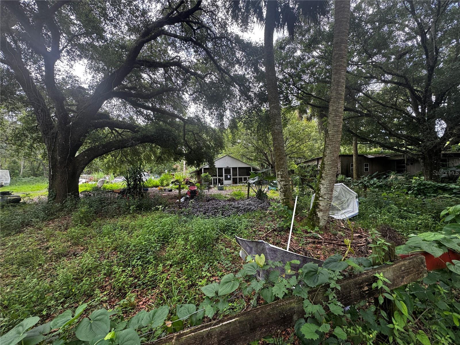 515 THISTLE HILL DRIVE