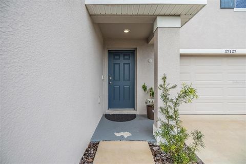 A home in ZEPHYRHILLS