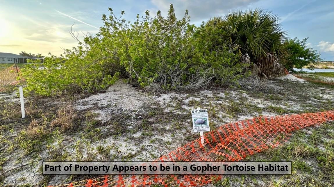 CAPE CORAL - Land