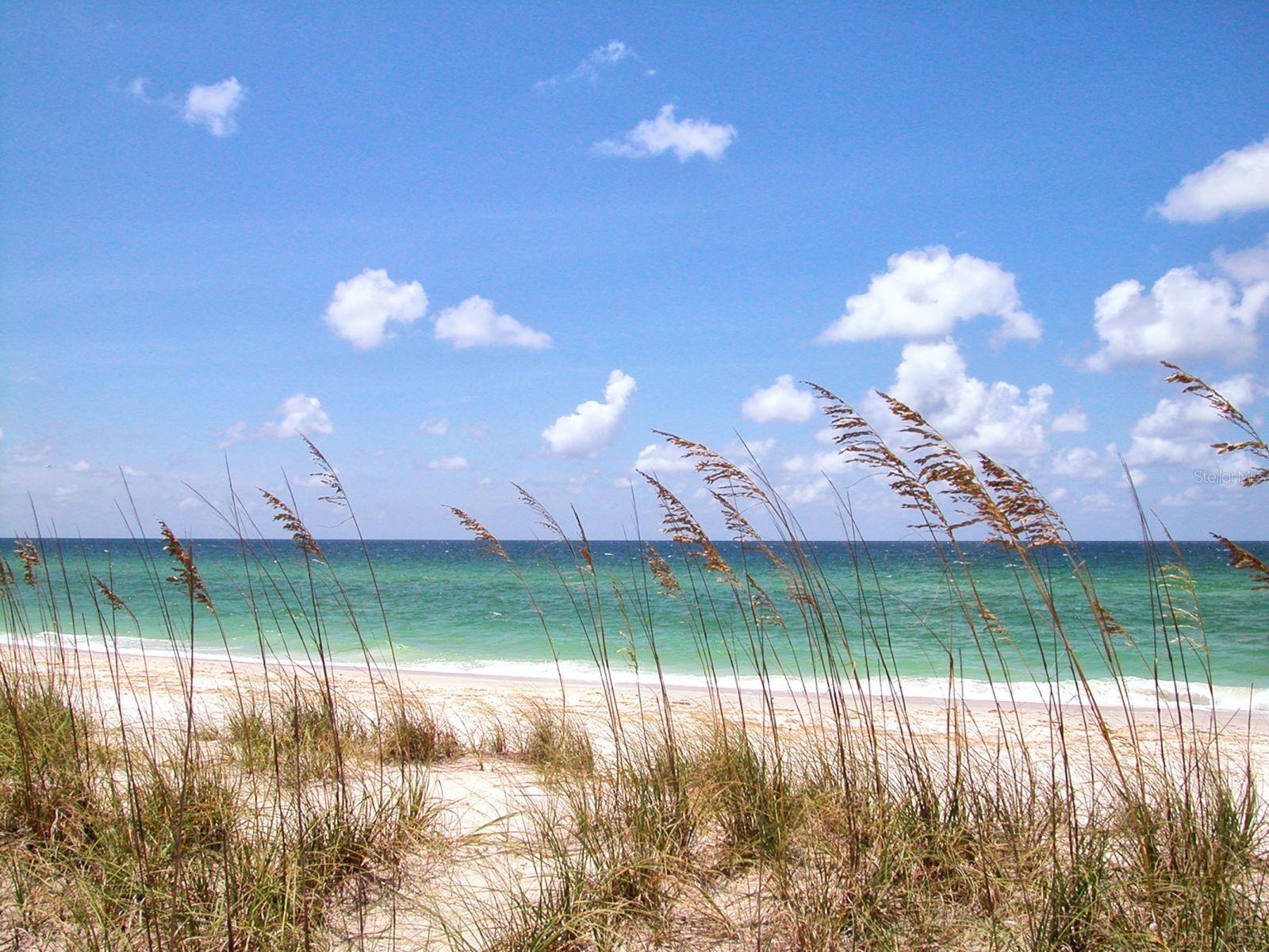 SOUTH VENICE - Residential