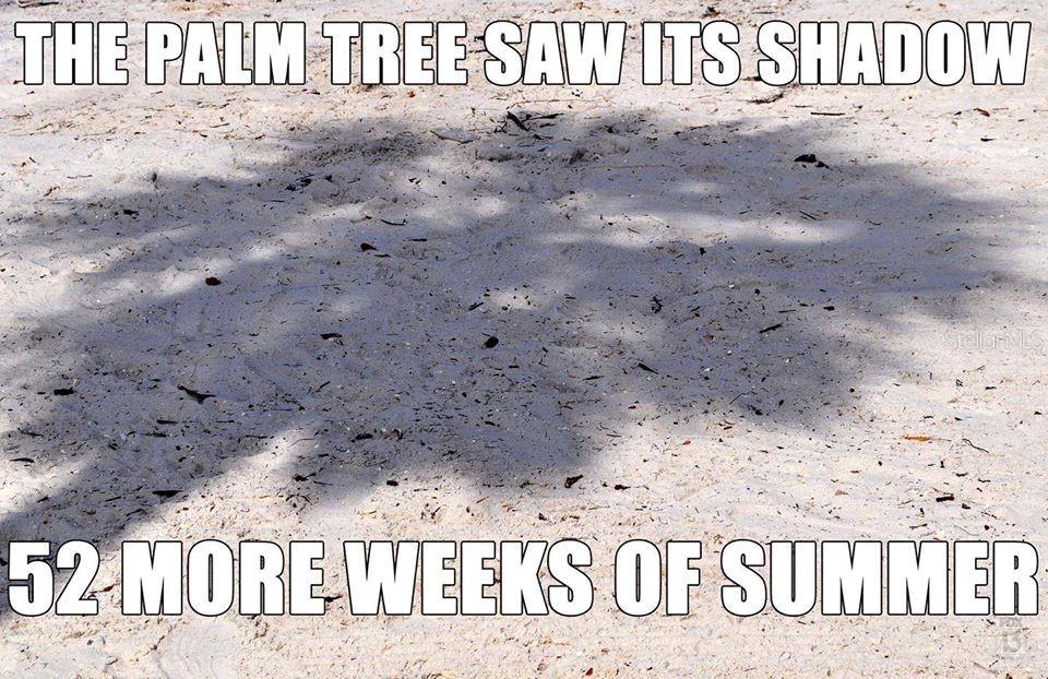 BIRD BAY II - Residential