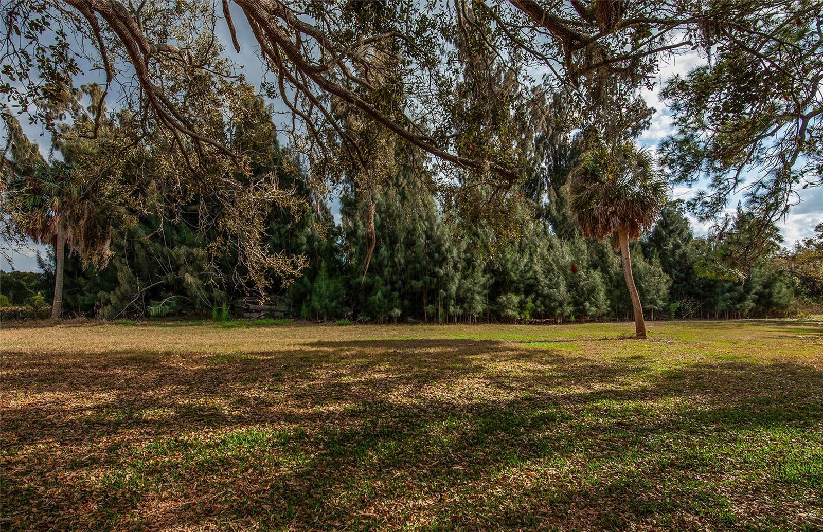 BIRD BAY II - Residential