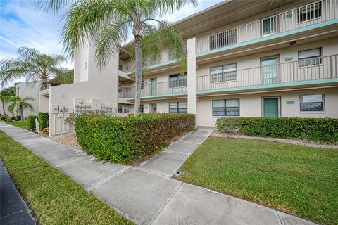 A home in PUNTA GORDA