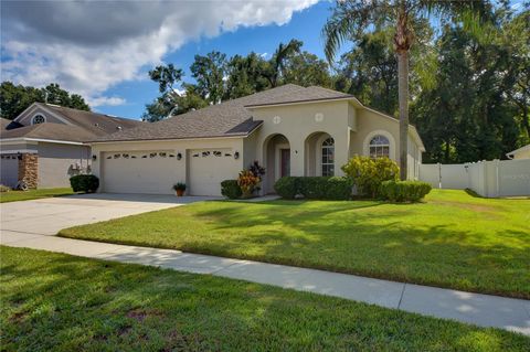 Photo of 2823 Windcrest Oaks Court, Valrico, FL 33594 (MLS # TB8439440)
