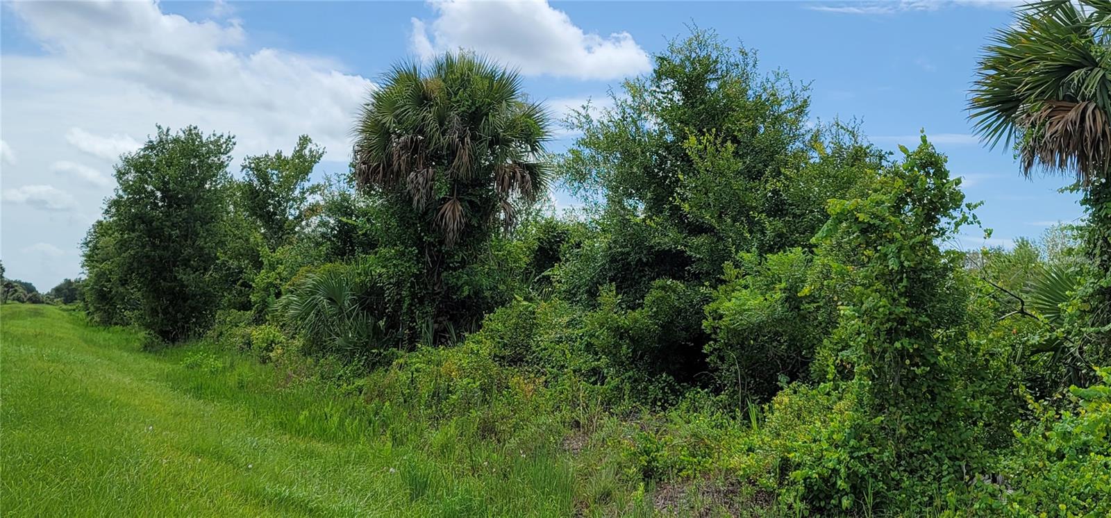 SOUTHERN COLONIZATION CO - Land