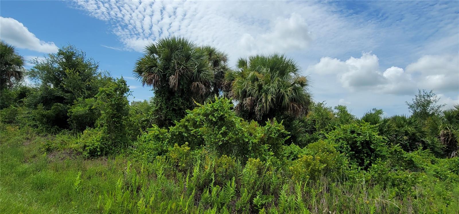 SOUTHERN COLONIZATION CO - Land