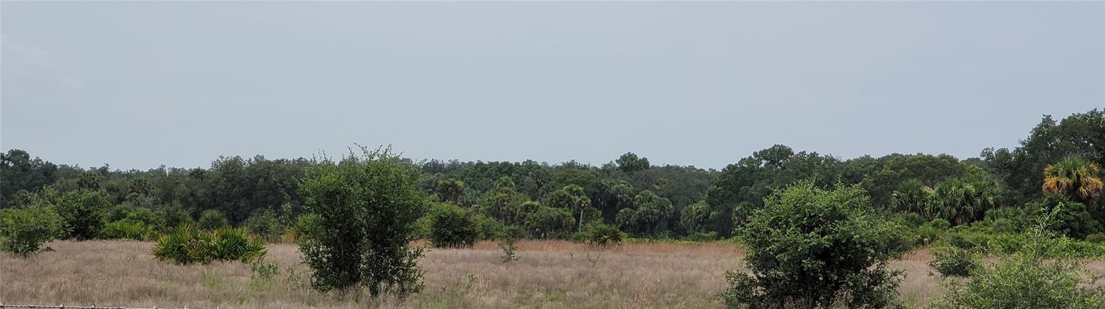 SOUTHERN COLONIZATION CO - Land