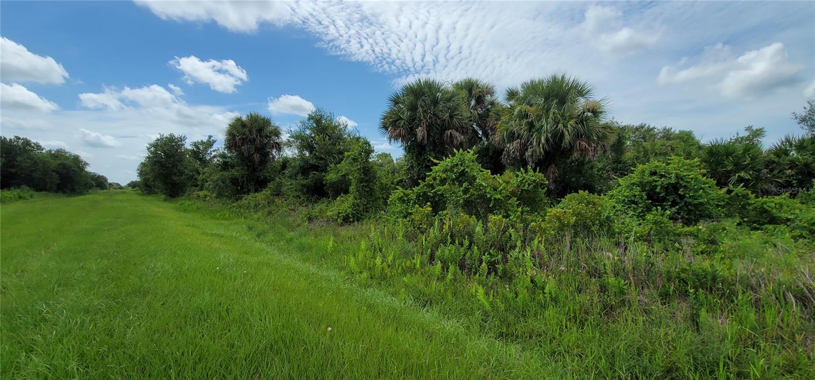 SOUTHERN COLONIZATION CO - Land