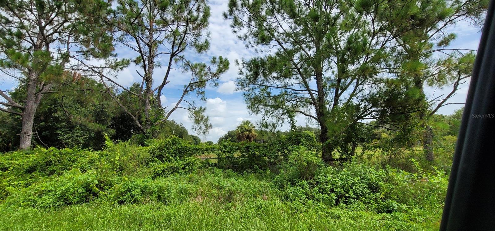 SOUTHERN COLONIZATION CO - Land