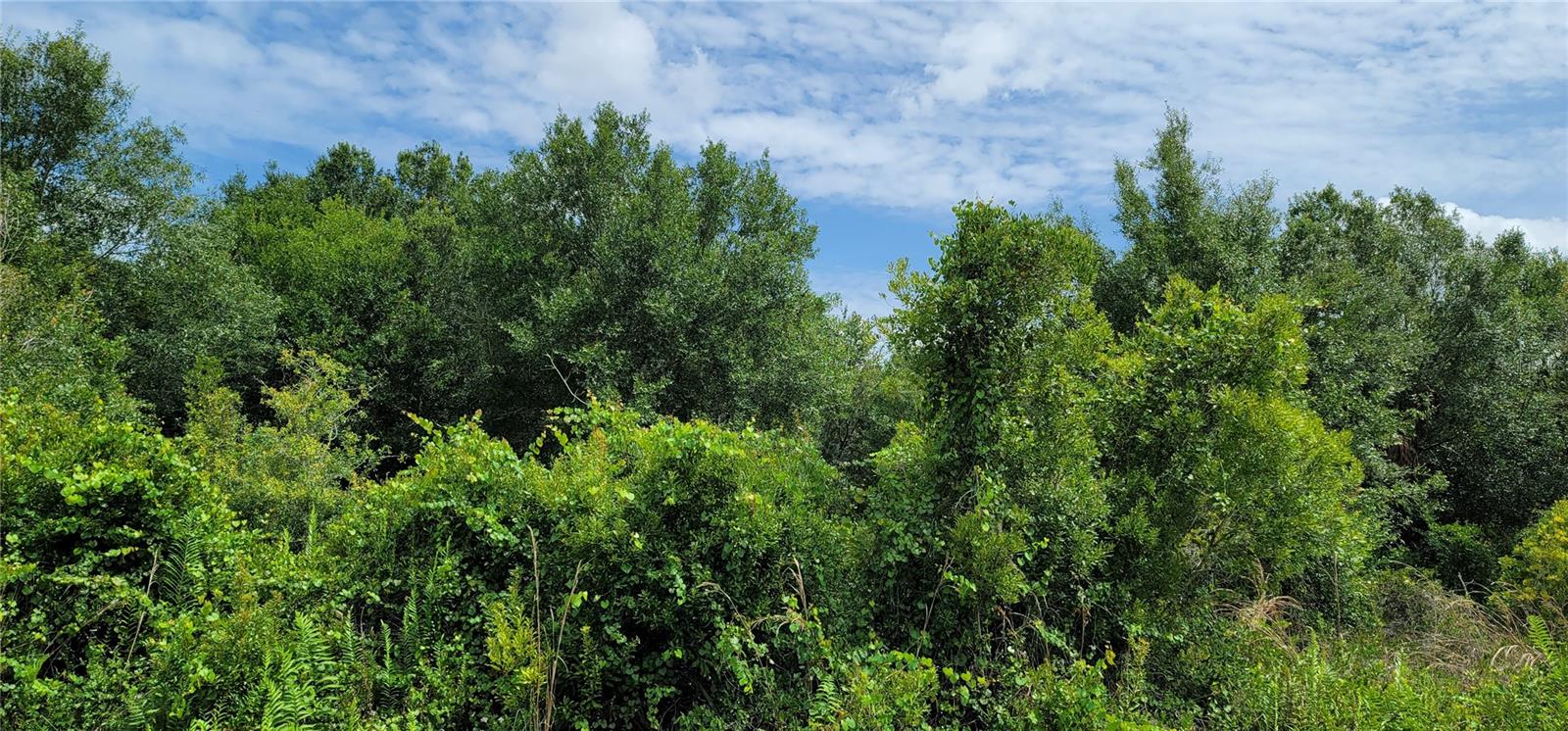 SOUTHERN COLONIZATION CO - Land