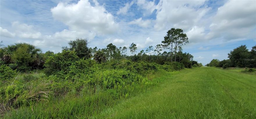 ** 1.25 Acres in Okeechobee – Priced to Sell! Motivated Seller **

Discover the perfect opportunity to own 1.25 acres of vacant, unimproved agricultural land in the serene beauty of Okeechobee County. Whether you're looking to build your dream home, a weekend retreat, or invest in land, this property offers endless potential.

#Property Highlights:
-1.25 acres of high and dry land
-Zoned for residential/agricultural use
-Peaceful countryside setting surrounded by nature
-Ideal for a custom home, farm, or getaway retreat
-No HOA – bring your vision to life

#Prime Location:
-Conveniently located just minutes from Kissimmee Prairie Preserve State Park, offering access to:
-Nature trails & hiking
-Wildlife viewing
-Hunting & outdoor recreation
-Fishing & boating nearby

Enjoy the tranquility of country living while still being within reach of essential amenities.

#Highly motivated seller – bring your offers!
This is a rare chance to secure affordable land in a growing area.
