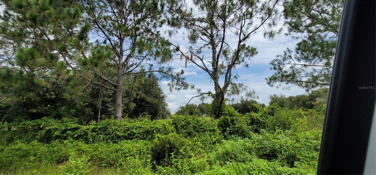 SOUTHERN COLONIZATION CO - Land