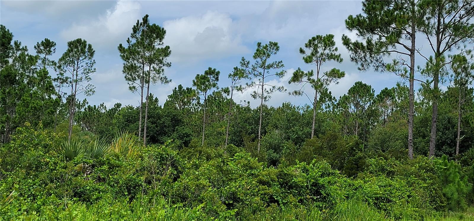 SOUTHERN COLONIZATION CO - Land