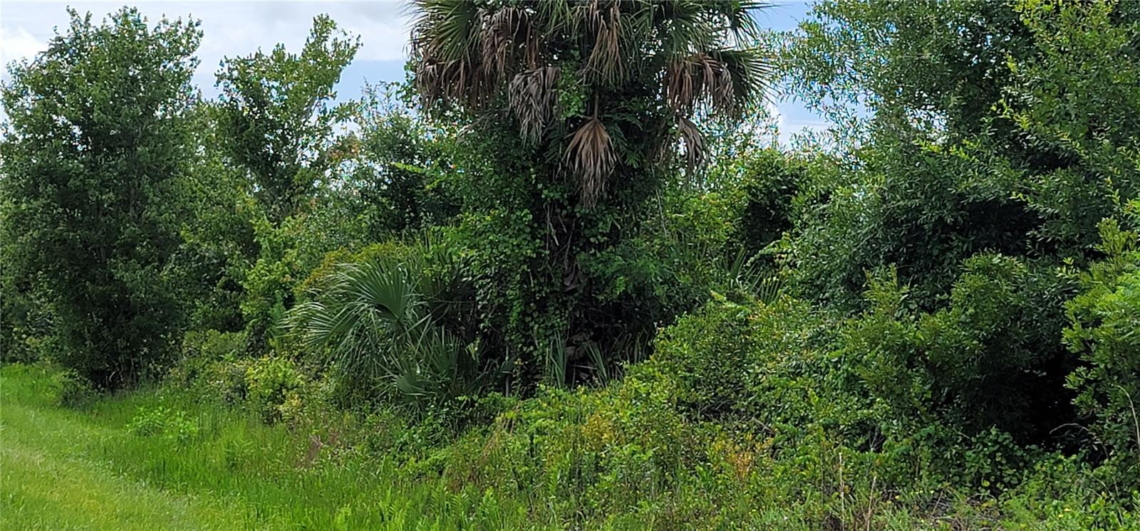 SOUTHERN COLONIZATION CO - Land