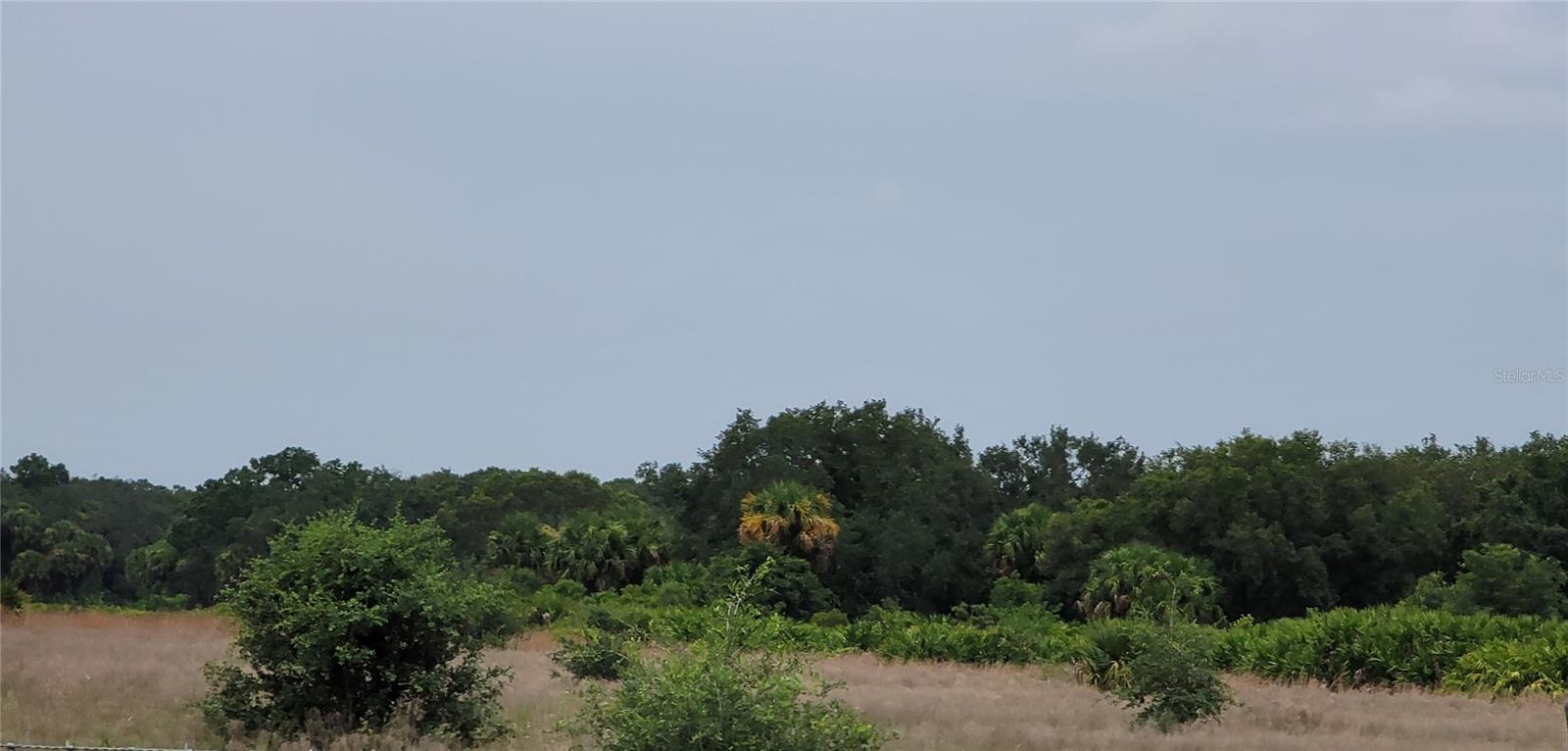 SOUTHERN COLONIZATION CO - Land