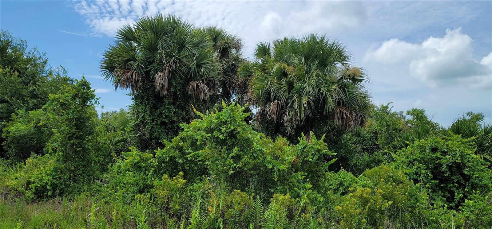 SOUTHERN COLONIZATION CO - Land