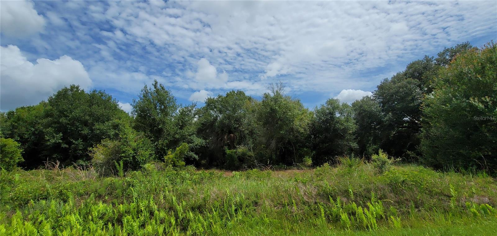 SOUTHERN COLONIZATION CO - Land