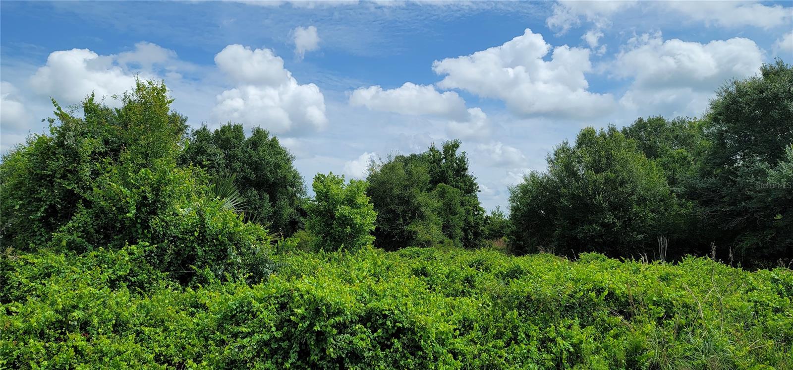 SOUTHERN COLONIZATION CO - Land