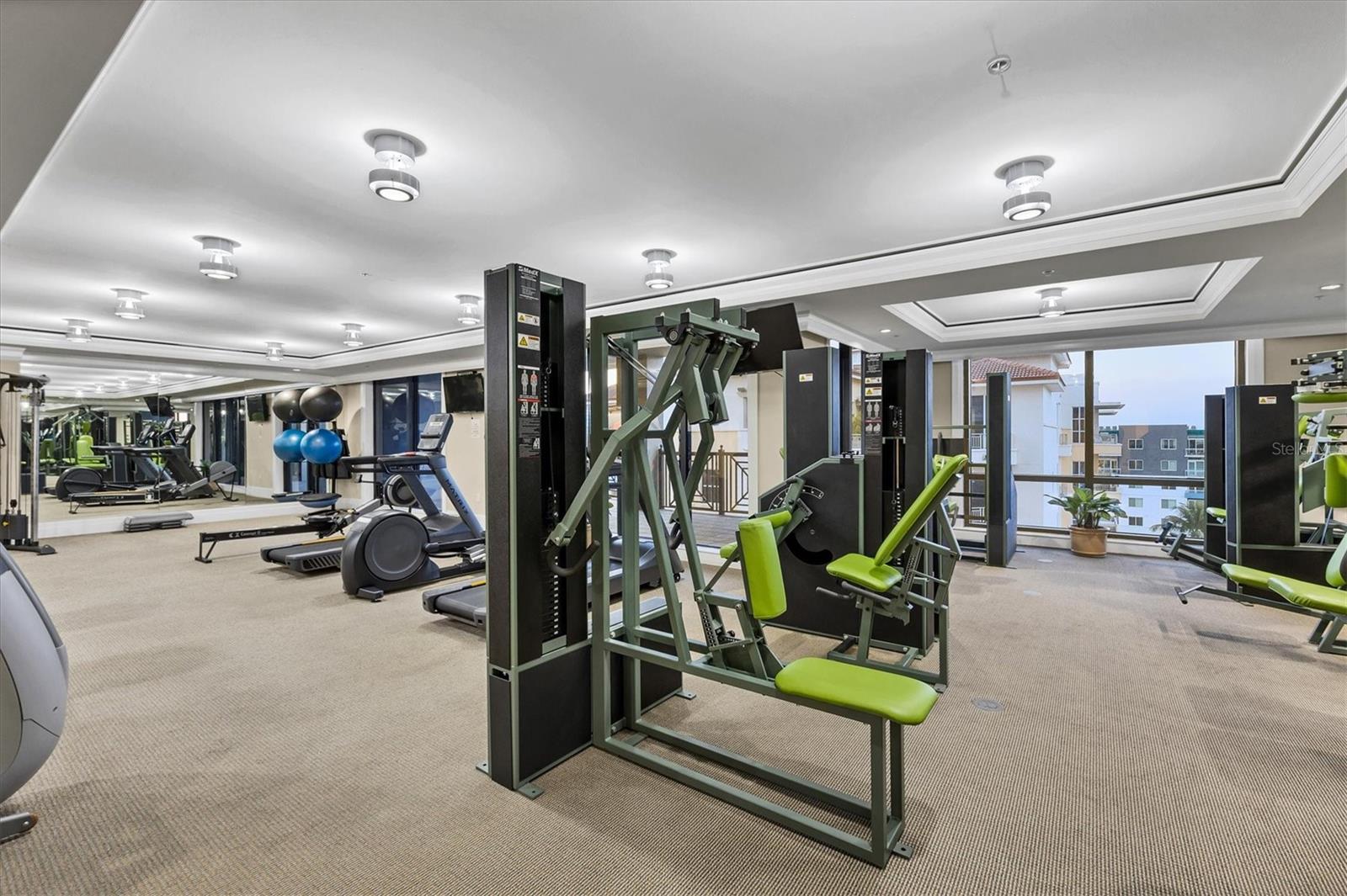 PLAZA/5 POINTS RESIDENCES - Residential