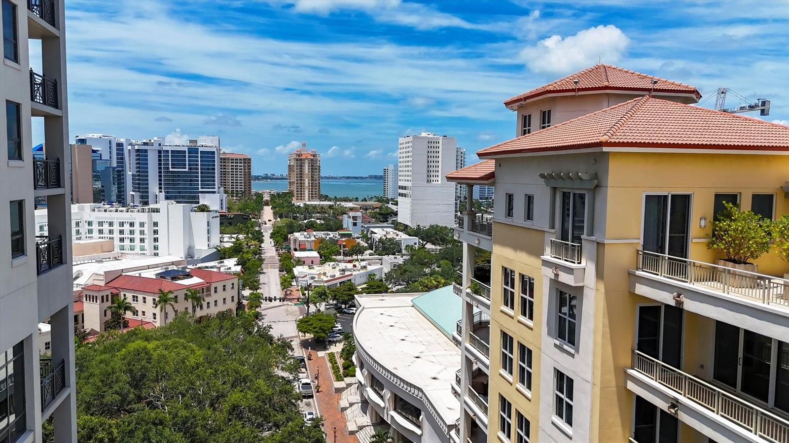 PLAZA/5 POINTS RESIDENCES - Residential