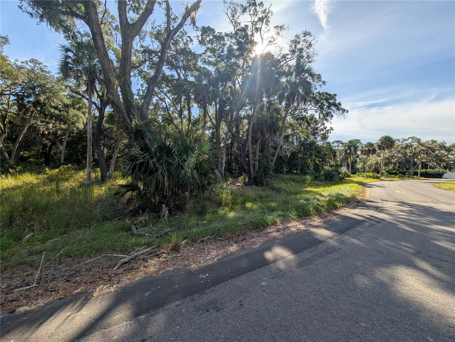 11009 N WITHLA BLUFF POINT