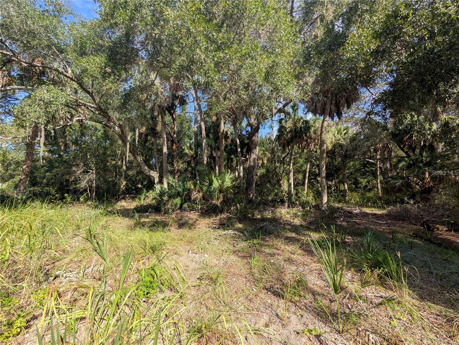 11009 N WITHLA BLUFF POINT