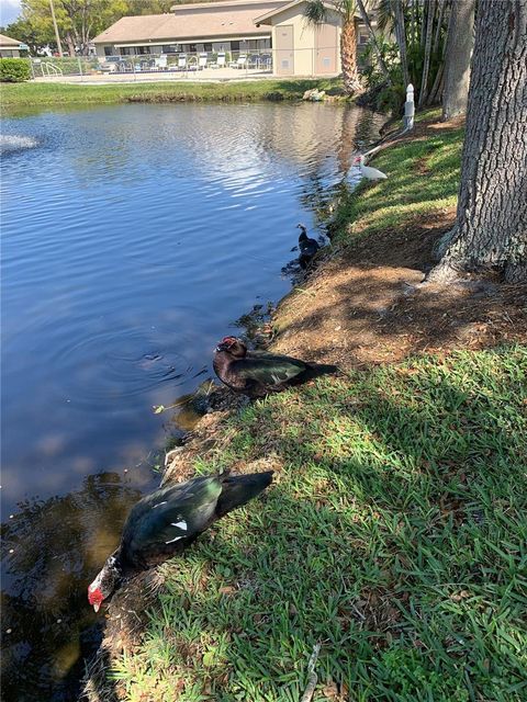 A home in BRADENTON