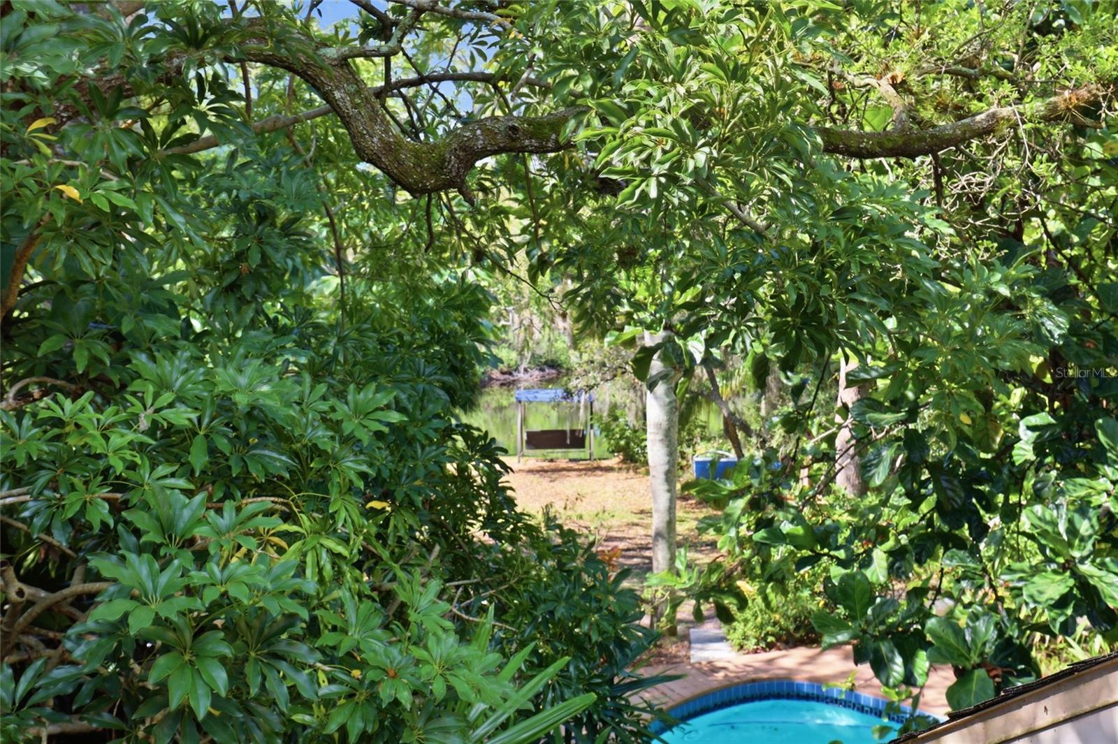 LAKEWOOD TR C - Residential